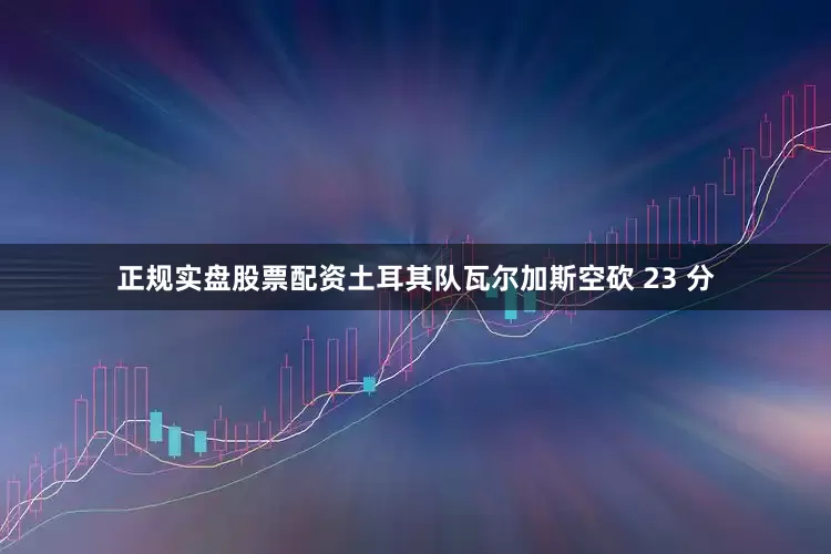 正规实盘股票配资土耳其队瓦尔加斯空砍 23 分