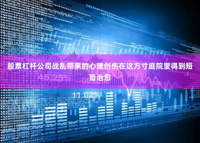 股票杠杆公司战乱带来的心理创伤在这方寸庭院里得到短暂治愈