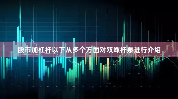 股市加杠杆以下从多个方面对双螺杆泵进行介绍